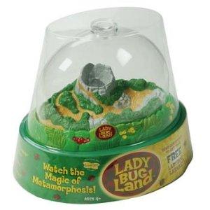 Ladybugland